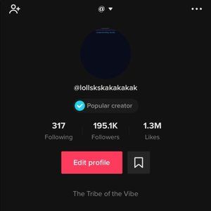 Verified tiktok account with almost 200k followers